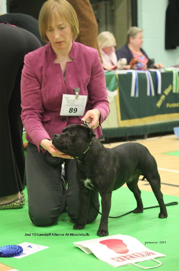 2nd YD Lawstaff Alliance At Miraclebulls