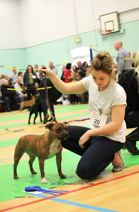 NWSBTC Ch show 2nd MB