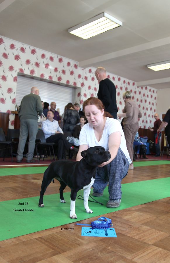 2nd LB pic2 NW open 17.4