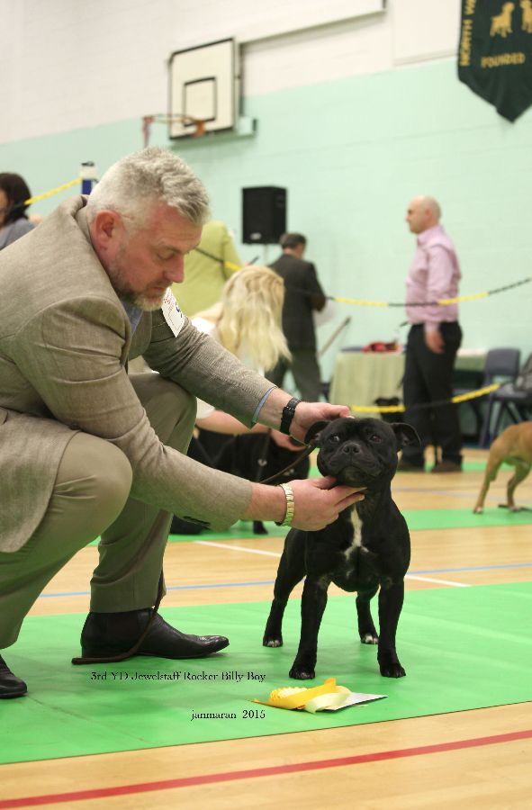 NWSBTC Ch show 3rd YD