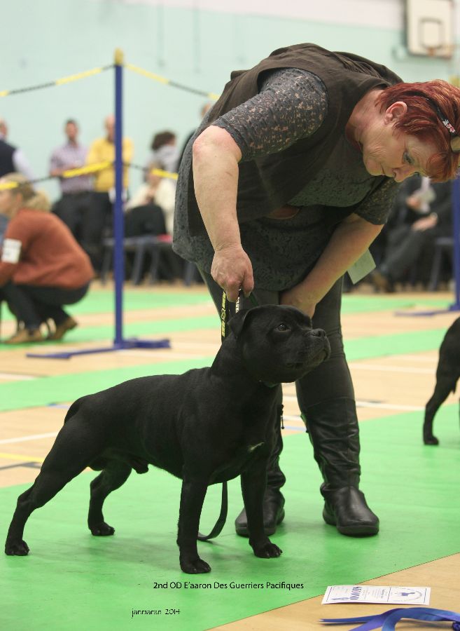 2nd OD E'aaron Des Guerriers Pacifiques