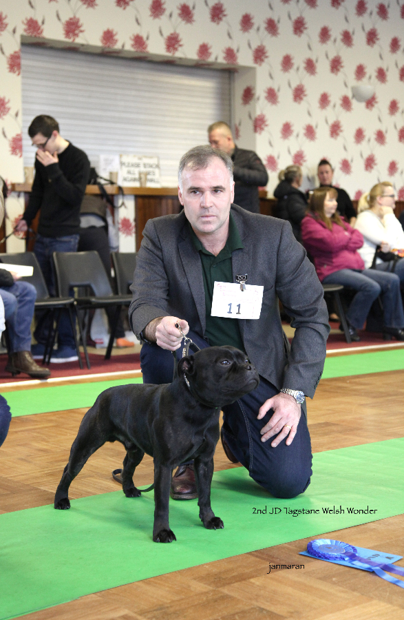 2nd JD NWSBTC limit 24.1