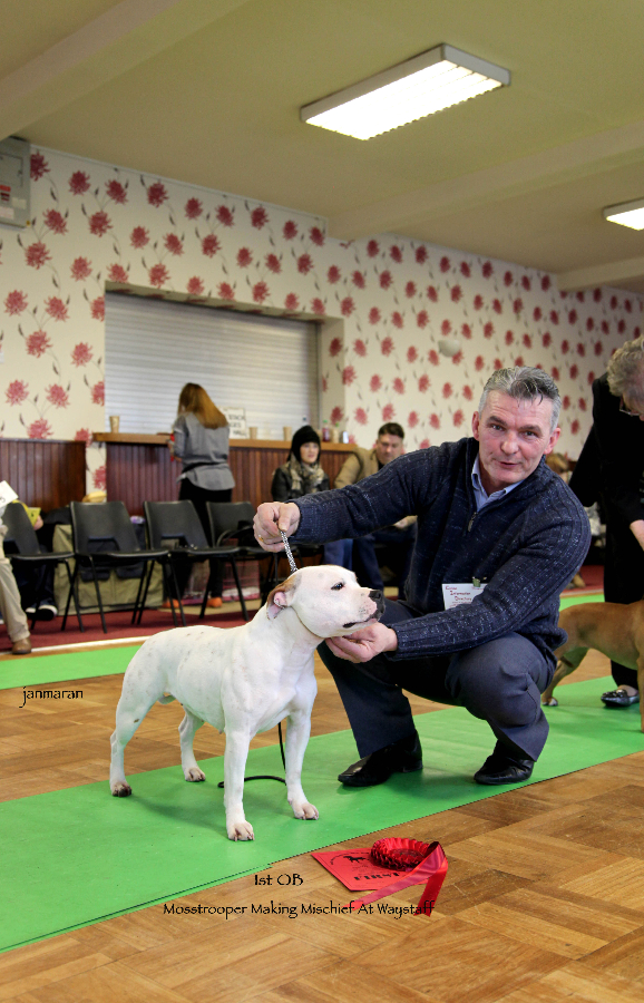 First OB NWSBTC limit 24.1