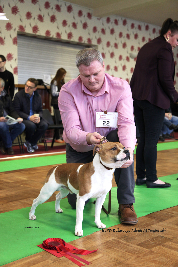 1st PD NWSBTC limit 24.1