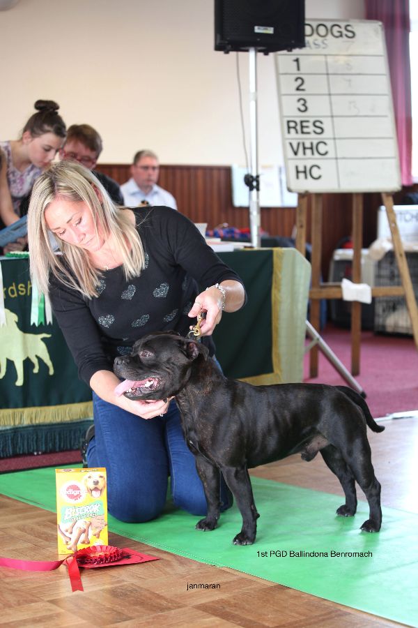 1stPGD nwsbtc open show