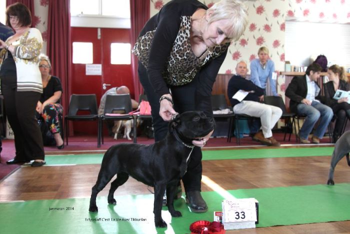 Web.1st yb Eclypstaff C'est La Vie Avec Tikkurilain nwsbtc open 19_edited-1