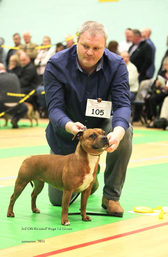 NWSBTC Ch show 3rd OB