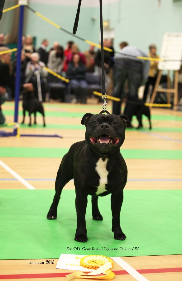 NWSBTC Ch show 3rd OD