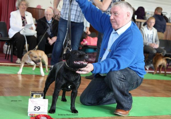 Web. Deldenas Black Shadow 1st PGD nwsbtc open 19_edited-1