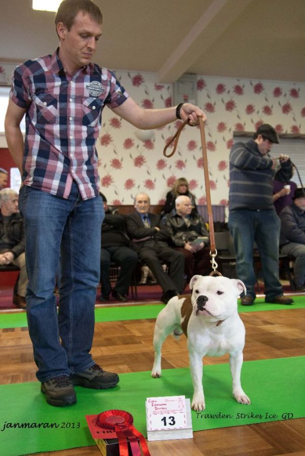 NWSBTC limited show GD