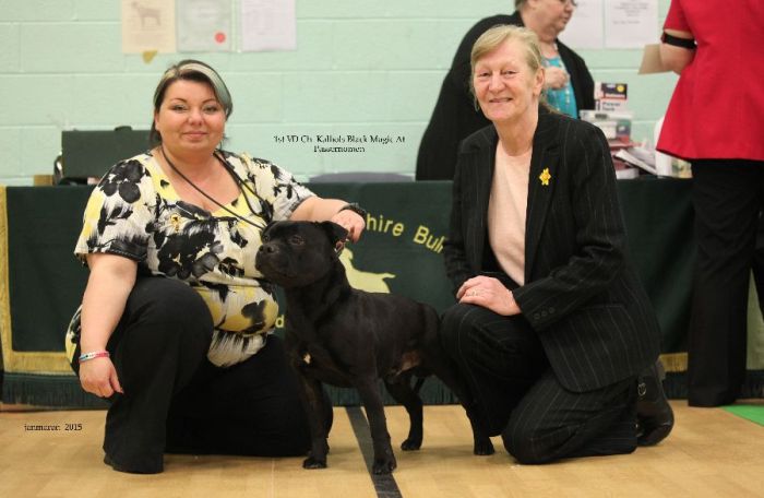 NWSBTC Ch show 1st VD with Judge