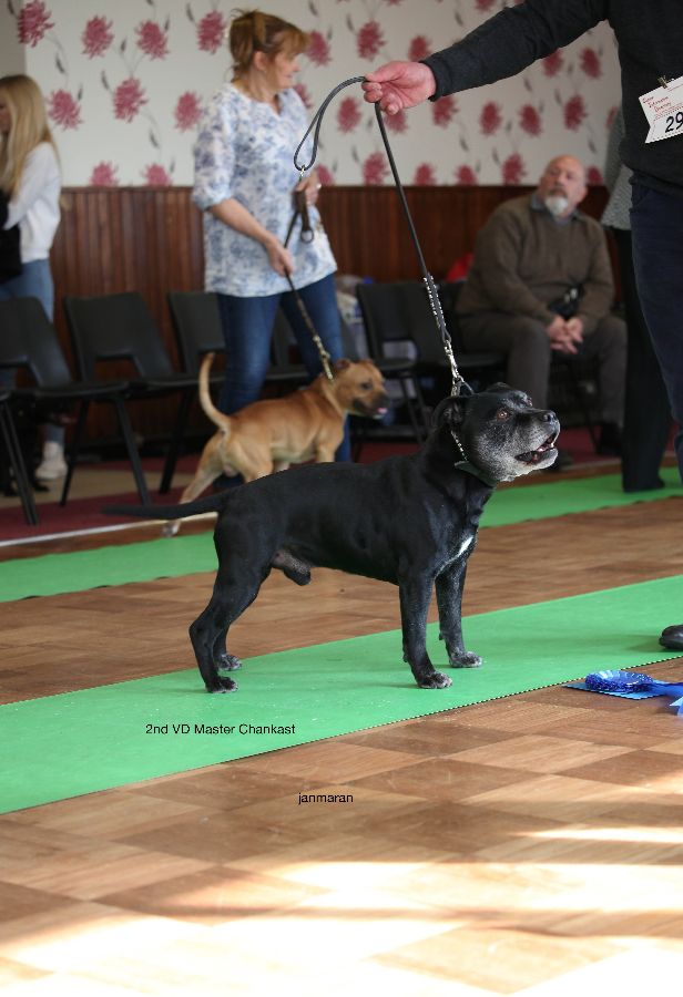 2nd VD nwsbtc open show 11.10