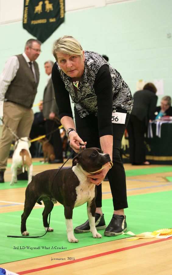 NWSBTC Ch show 3rd LD_edited-1