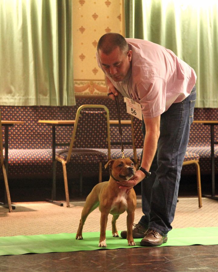 NW run off 9.12.15 Mckimm