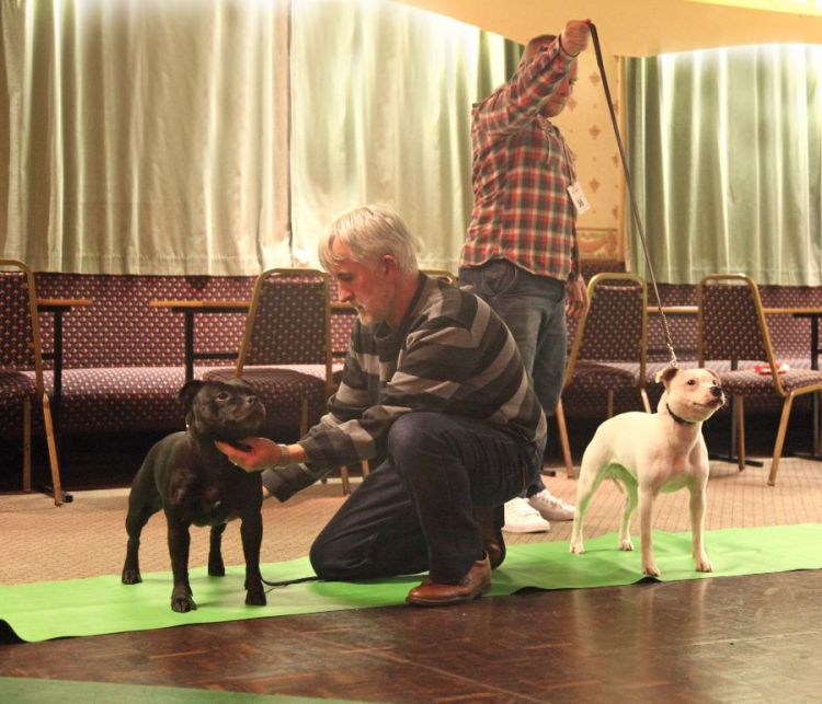 NW run off 9.12.15 OB