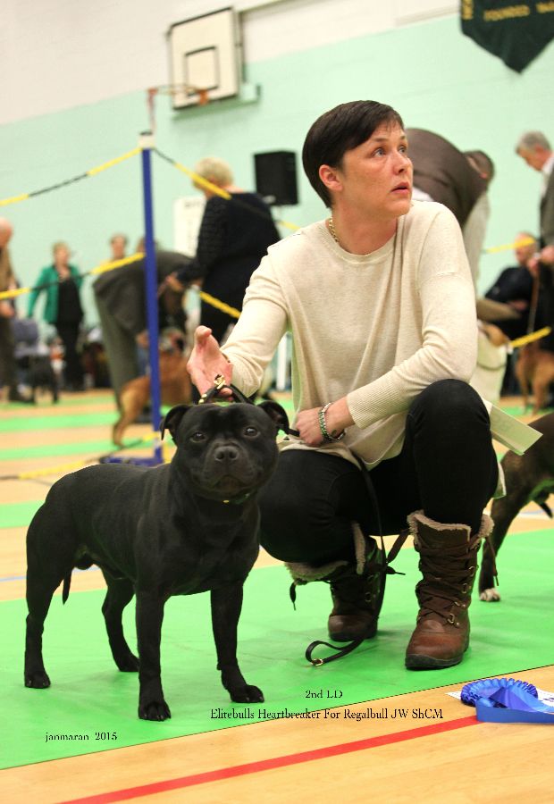 NWSBTC Ch show 2nd LD