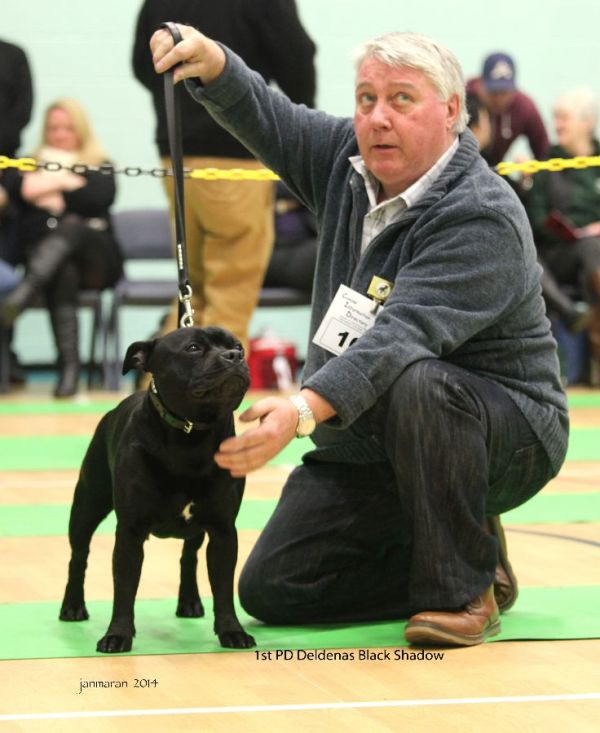 1st PD Deldenas Black Shadow