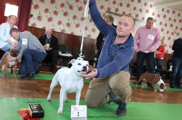 Web. 1st pgb Quatros Touch Of Class At Dinostaff nwsbtc open 1_edited-1