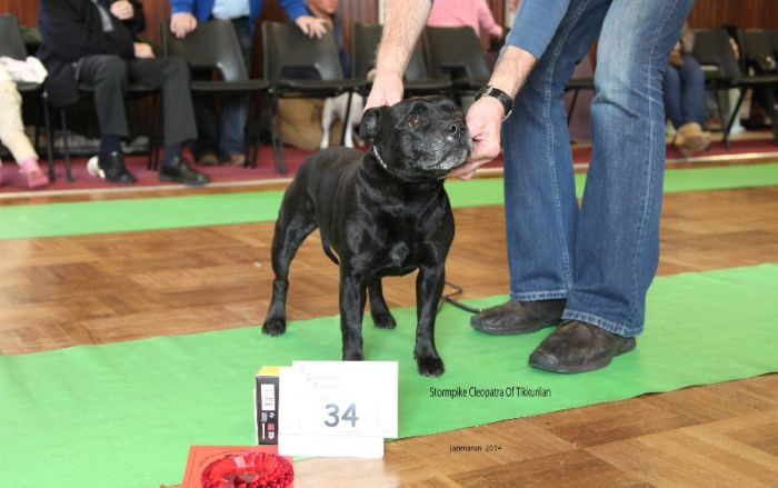 Web.1st VB Cleo Tikkurilan nwsbtc open 19_edited-1