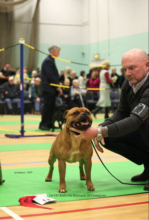 NWSBTC Ch show OD 1st