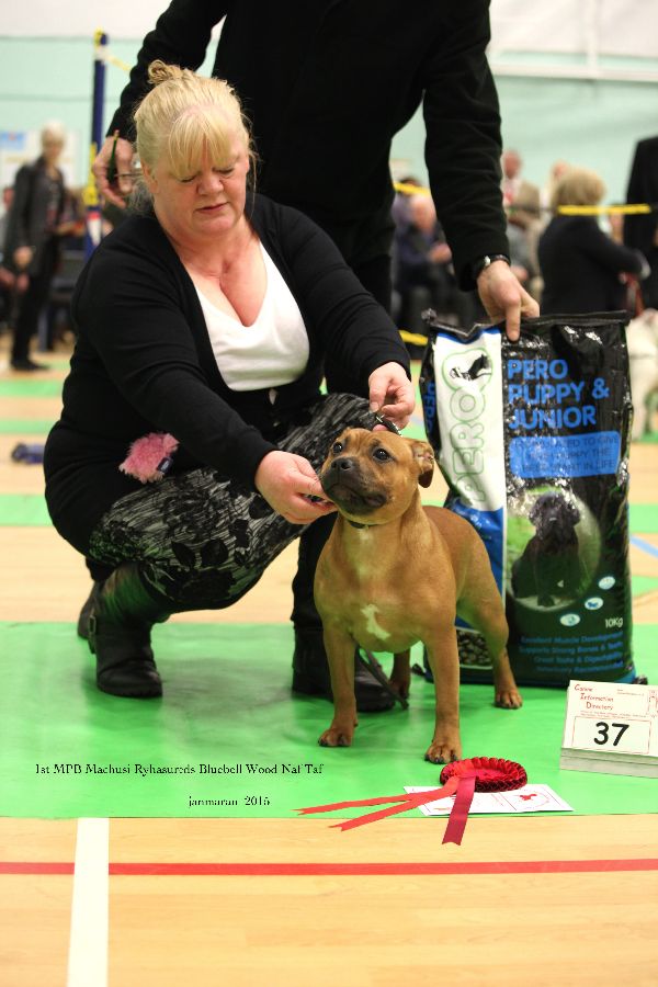 NW Ch Show 2015 1st MPB