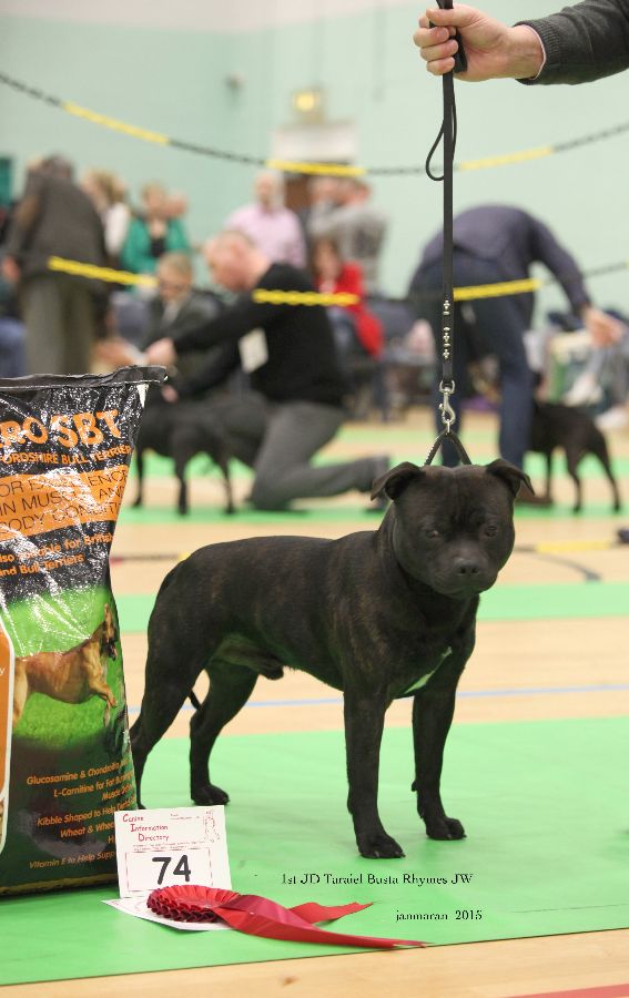 NWSBTC Ch show 1st JD