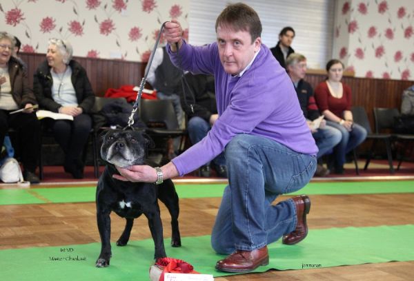 Master Chankast 1stVD nwsbtc limit 18.1