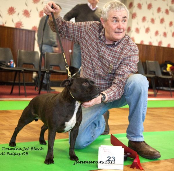 NWSBTC limited show OB