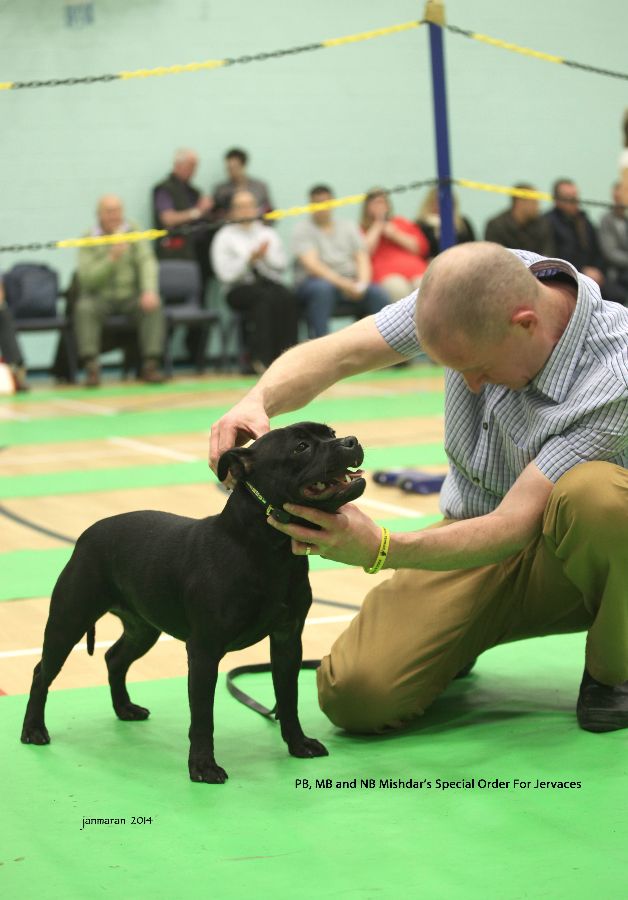 new edit PB,MB&NB Mishdar's Special Order