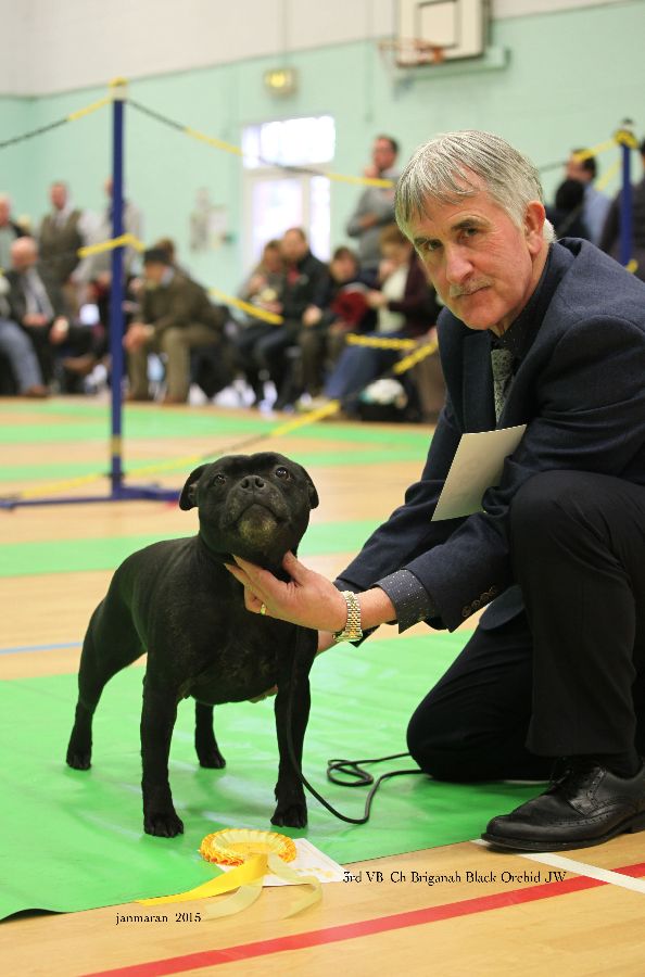 NWSBTC Ch show 3rd VB