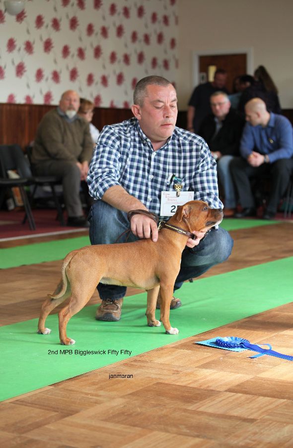 2nd MPB nwsbtc open show 11.10