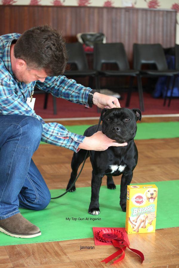 1st PD&BPD nwsbtc open 11.10