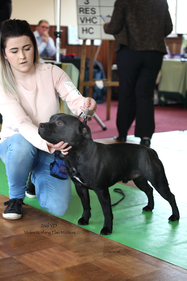 2nd YD NWSBTC limit 24.1_edited-1