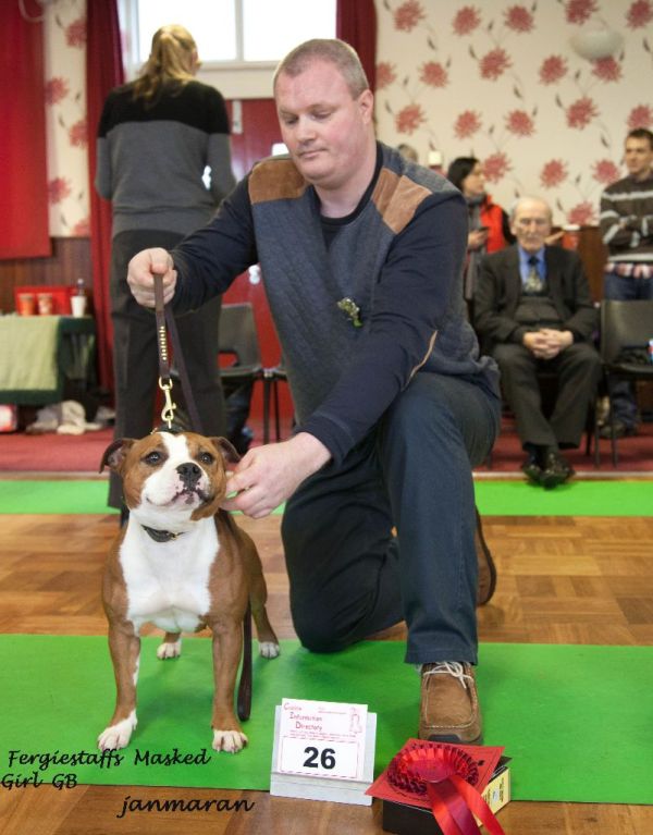 NWSBT limited show PGB