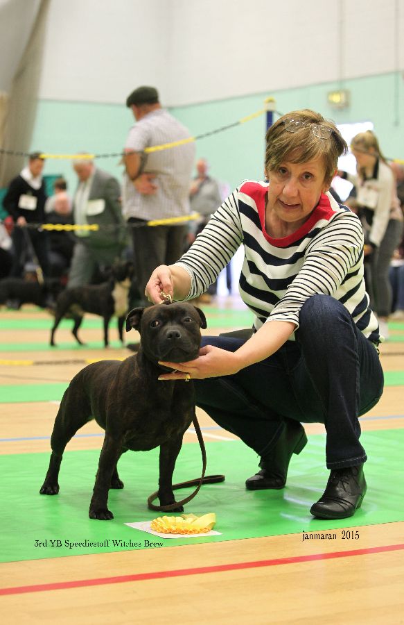 NWSBTC Ch show 3rd YB