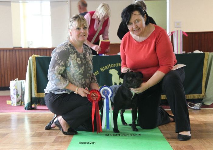 Web. BD Harry Potter NW open 19_edited-1