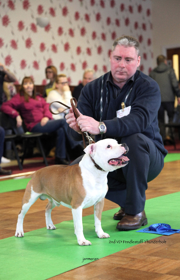 2nd VD NWSBTC limit 24.1_edited-1