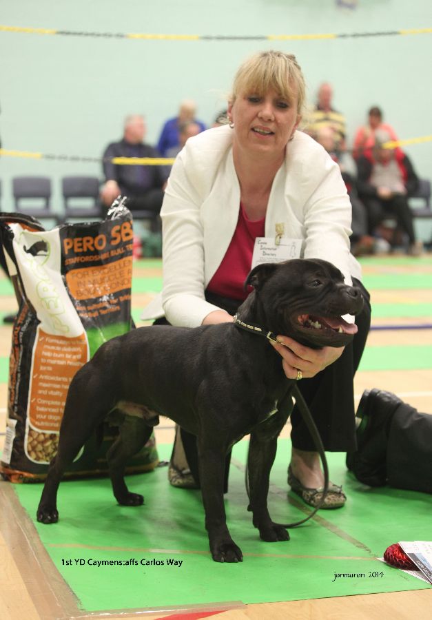 1st YD Caymenstaffs Carlos Way