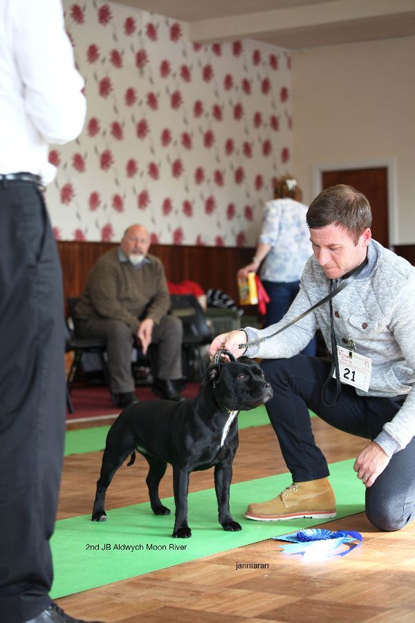 2nd JB nwsbtc open 11.10