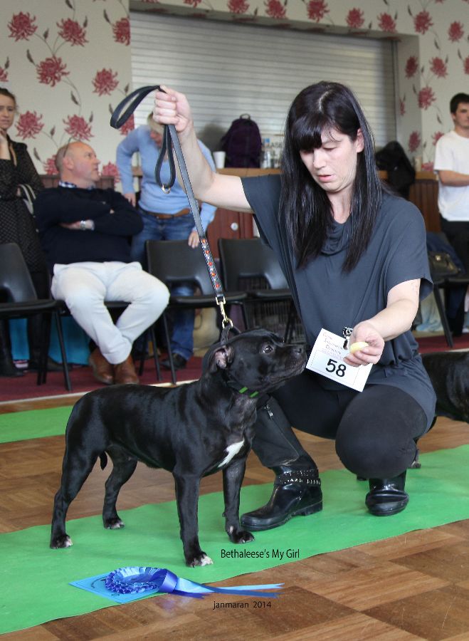 Web. Bethaleese's My Girl 2nd pb nwsbtc open 19_edited-1