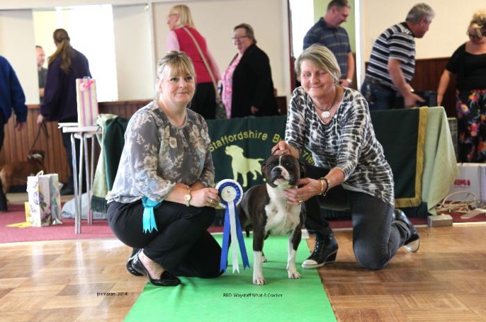 Web. RBD Waystaff What A Cracker NW open 19_edited-2