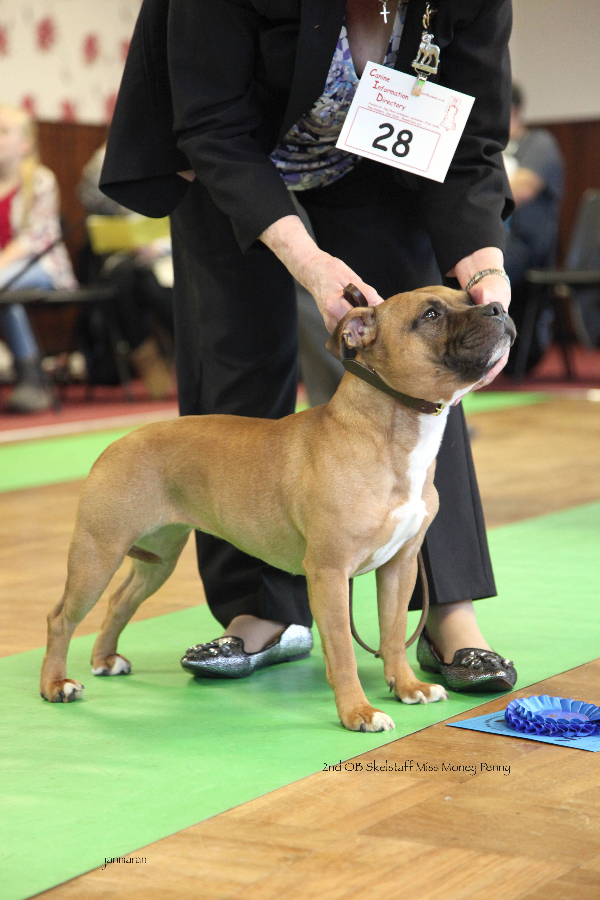 2nd OB NWSBTC limit 24.1_edited-1