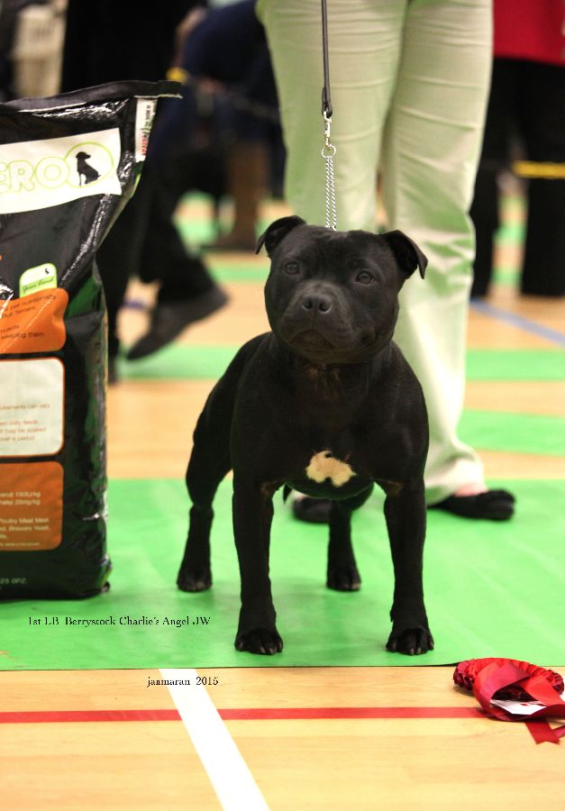 NWSBTC Ch show 1st LB pic 2