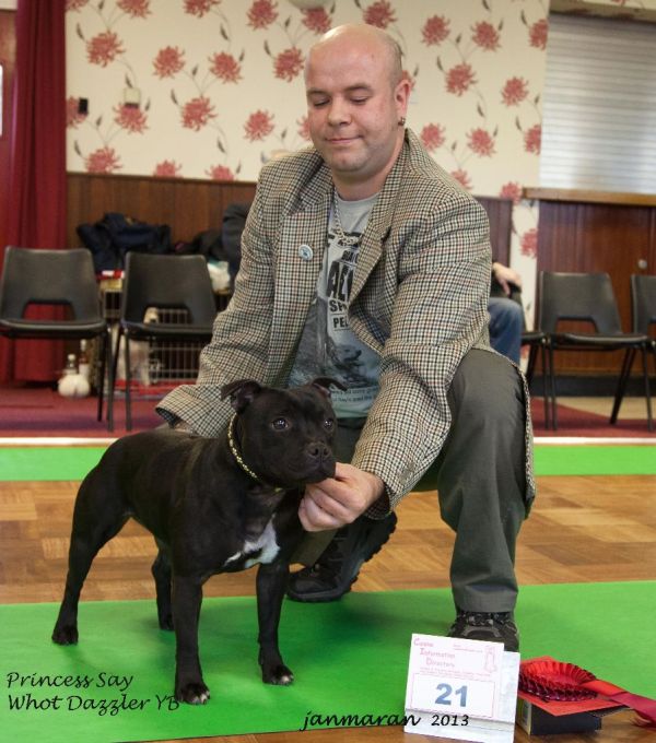 NWSBTC limited show YB