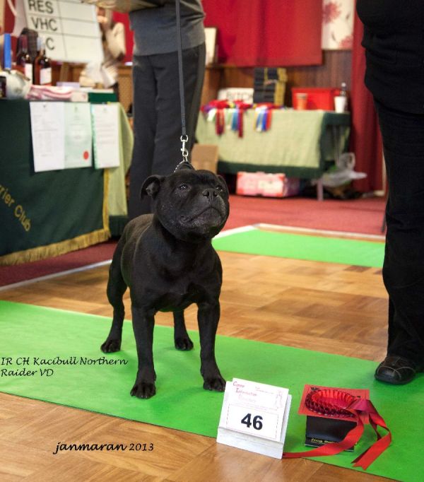 NWSBTC limited show VD