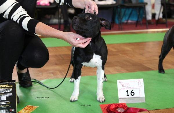 Web. 1st nb nwsbc open 19