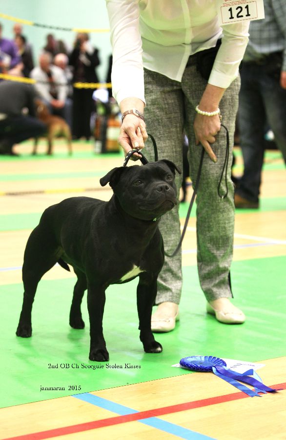 NWSBTC Ch show 2nd OB_edited-1