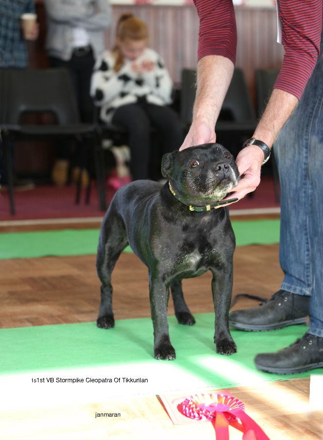 1stVB nwsbtc open 11.10_edited-1