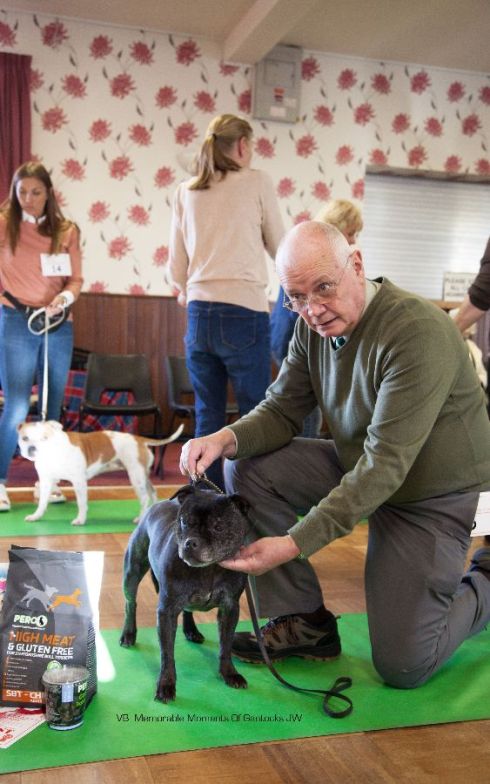 vb-memorable-moments-of-gantocks-jw-nw-open-23-oct-16