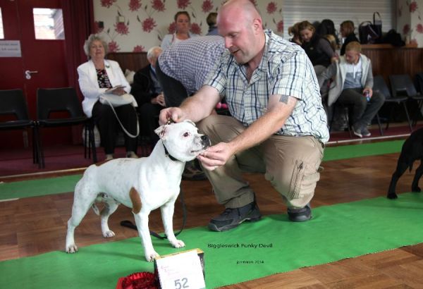 Web. Biggleswick Funky Devil 1st yd NWSBTC open 19_edited-1
